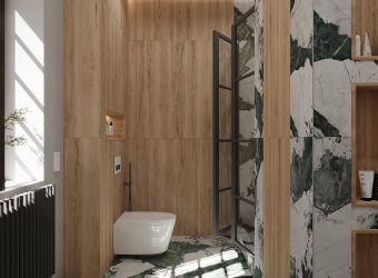 Step into the forest